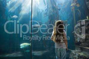 Little girl looking at fish tank