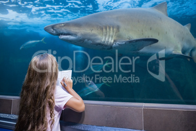 Little girl looking at fish tank