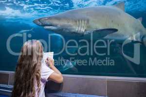 Little girl looking at fish tank