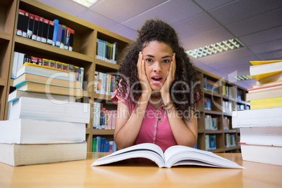 Pretty student studying in the library