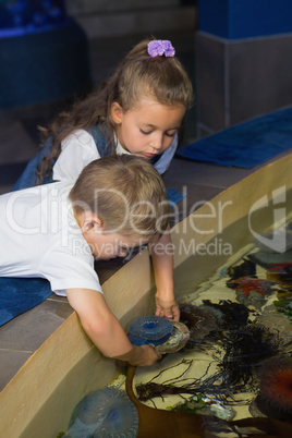 Little siblings looking at fish tank