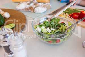 Family preparing salad