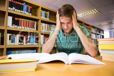 Student sitting in library reading