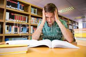 Student sitting in library reading