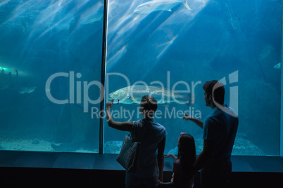 Happy family looking at fish tank