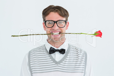 Geeky hipster holding a red rose in his teeth