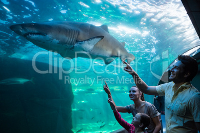 Happy family looking at tank