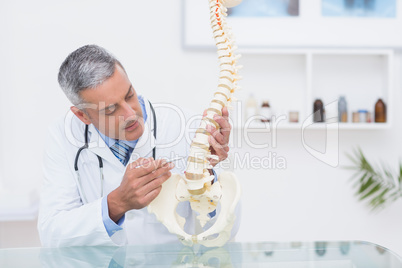 Doctor with anatomical spine