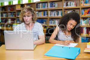 Students studying together in the library