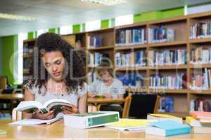 Student studying in the library