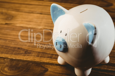 Blue and white piggy bank