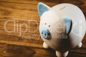 Blue and white piggy bank