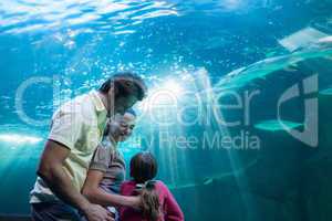 Happy family looking at tank