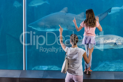 Happy family looking at fish tank