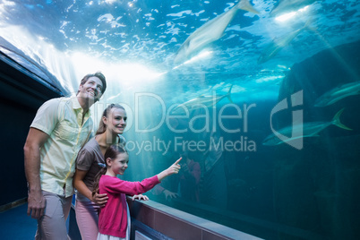 Happy family looking at tank