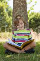 Little boy reading in the park
