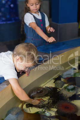 Little siblings looking at fish tank