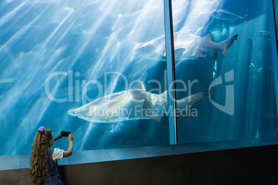 Little girl looking at fish tank