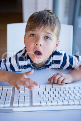 Little boy using computer in the living room