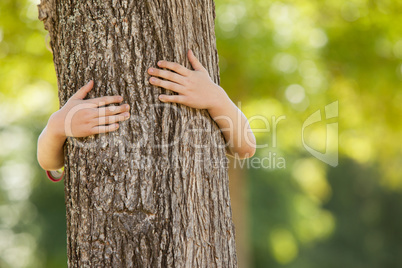 Little boy in the park hugging tree