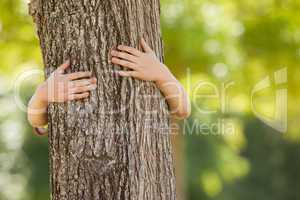 Little boy in the park hugging tree