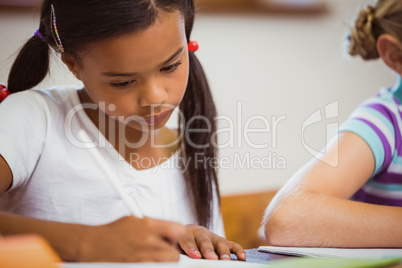 Schoolchildren working hard at desk