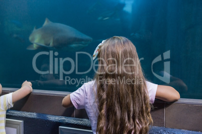 Little siblings looking at fish tank