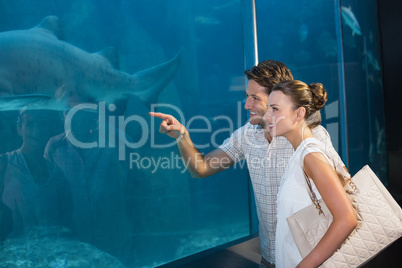 Happy couple looking at fish tank