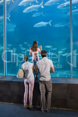 Happy family looking at fish tank