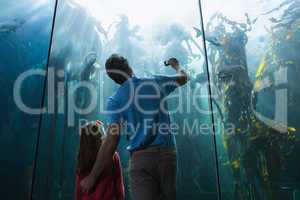 Father and daughter looking at fish tank