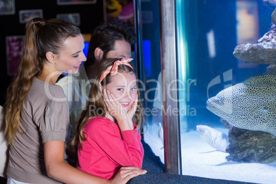 Happy family looking at fish tank