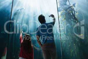 Father and daughter looking at fish tank