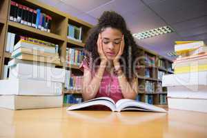 Pretty student studying in the library