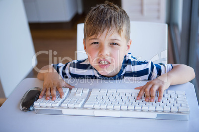 Little boy using computer in the living room