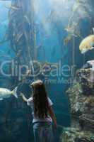 Little girl looking at fish tank