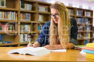 Student studying in the library