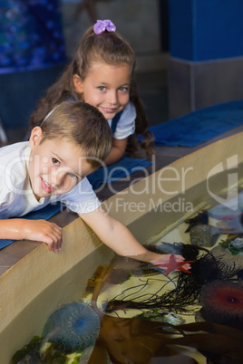 Little siblings looking at fish tank