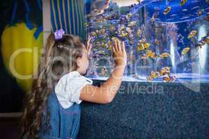 Little girl looking at fish tank