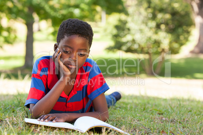 Little boy reading in the park