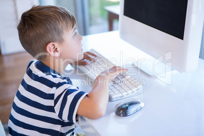 Little boy using computer in the living room