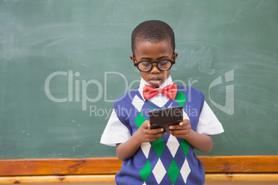 Cute pupil using calculator