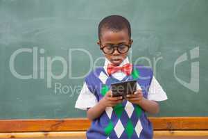 Cute pupil using calculator