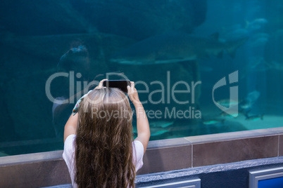 Little girl looking at fish tank