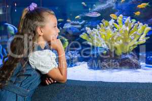 Little girl looking at fish tank