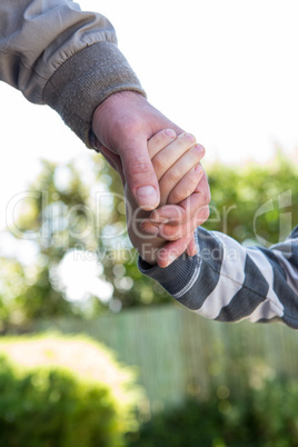 Father and son holding hands