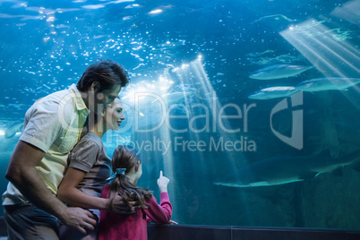 Happy family looking at tank