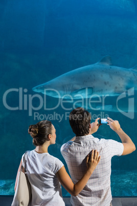 Couple taking photo of shark