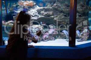 Little girl looking at fish tank