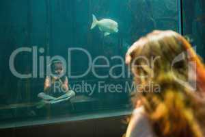 Little girl looking at fish tank