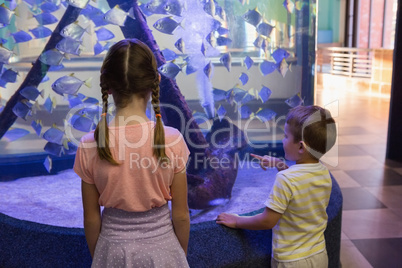 Cute children looking at fish tank